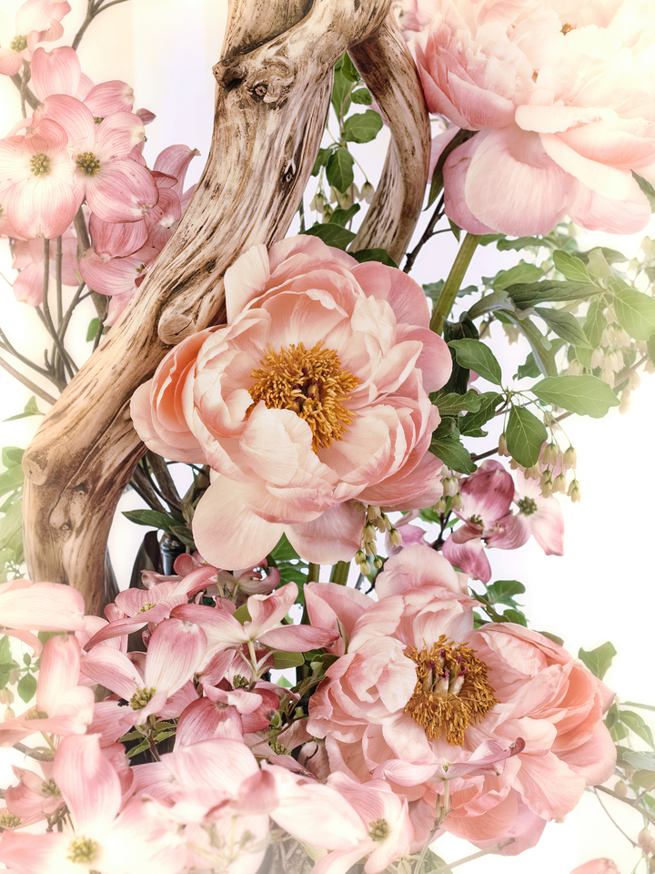 Peonies & Dogwood Ikebana