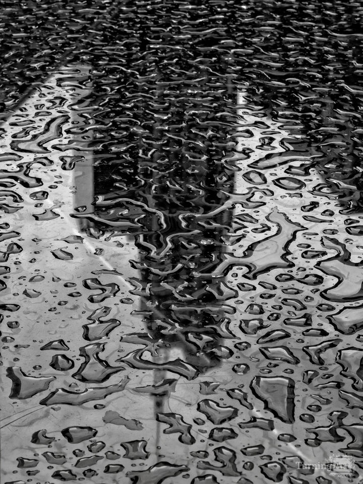 Another Rainy Day in NY