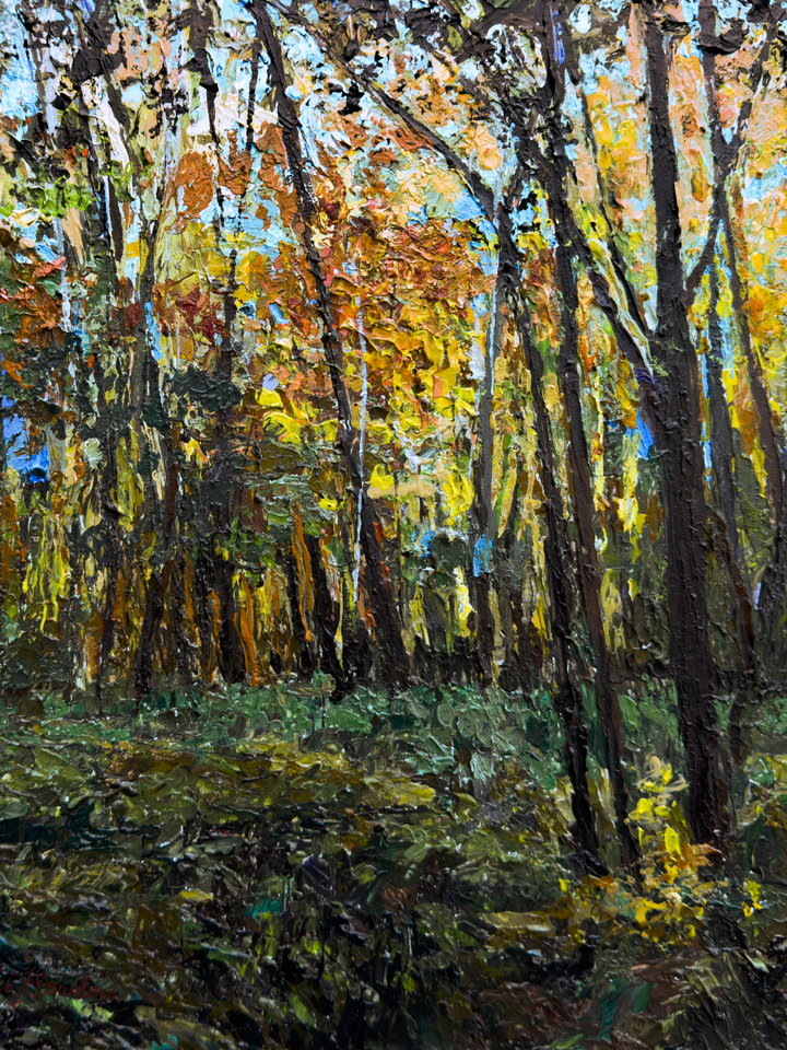 Swanton, into the Woods