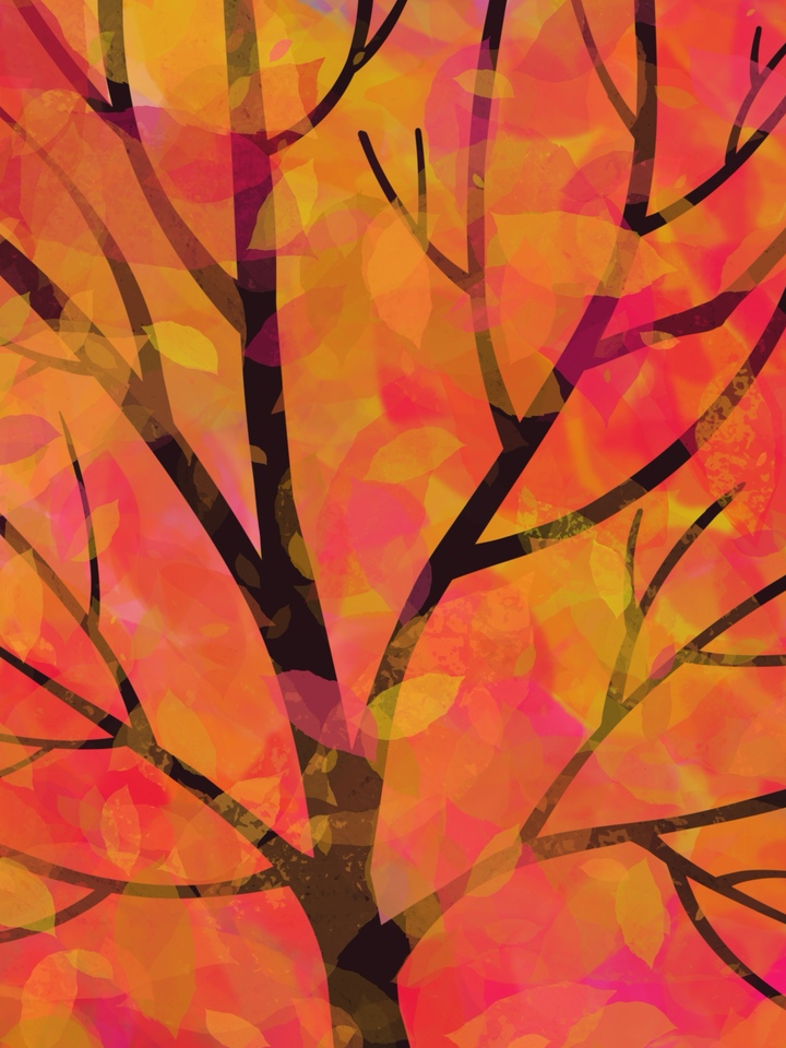 Fallen Autumn Leaves 