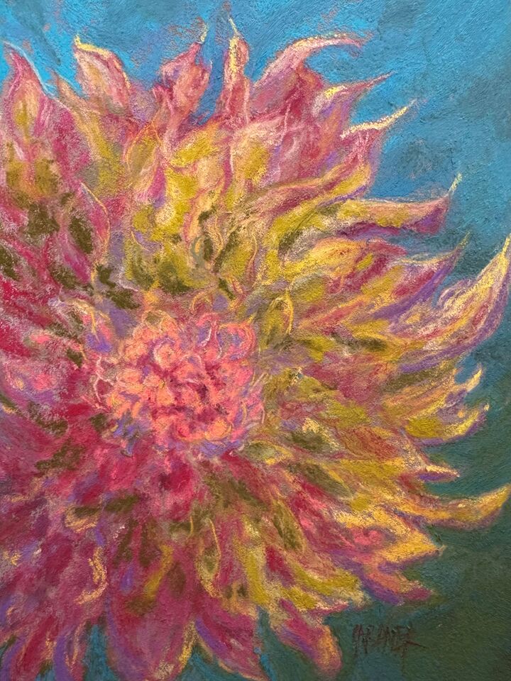 Dahlia Season