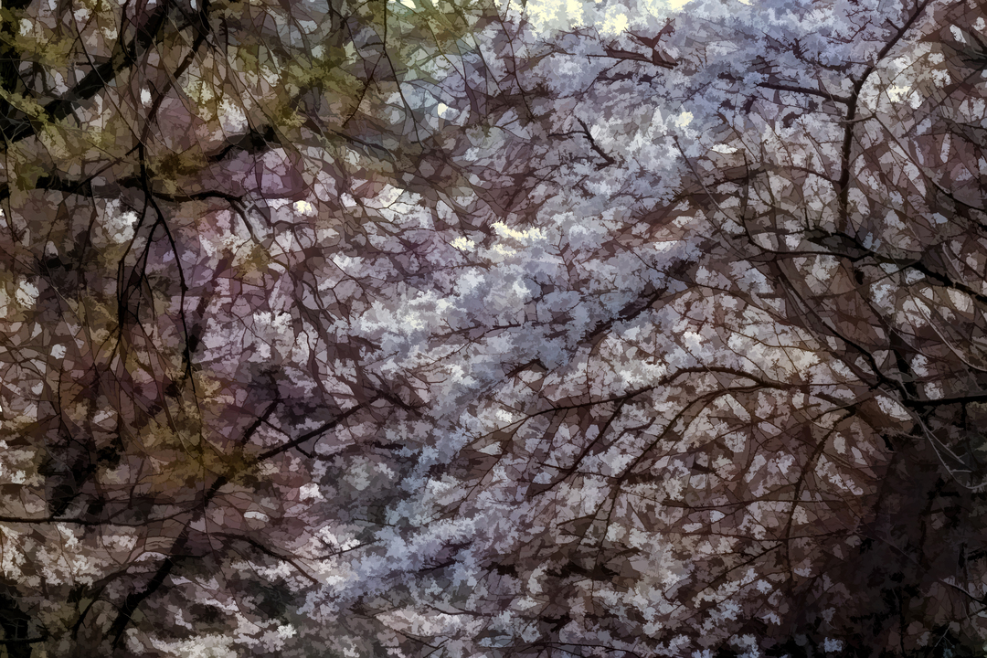 Impressionsit Cherry Trees