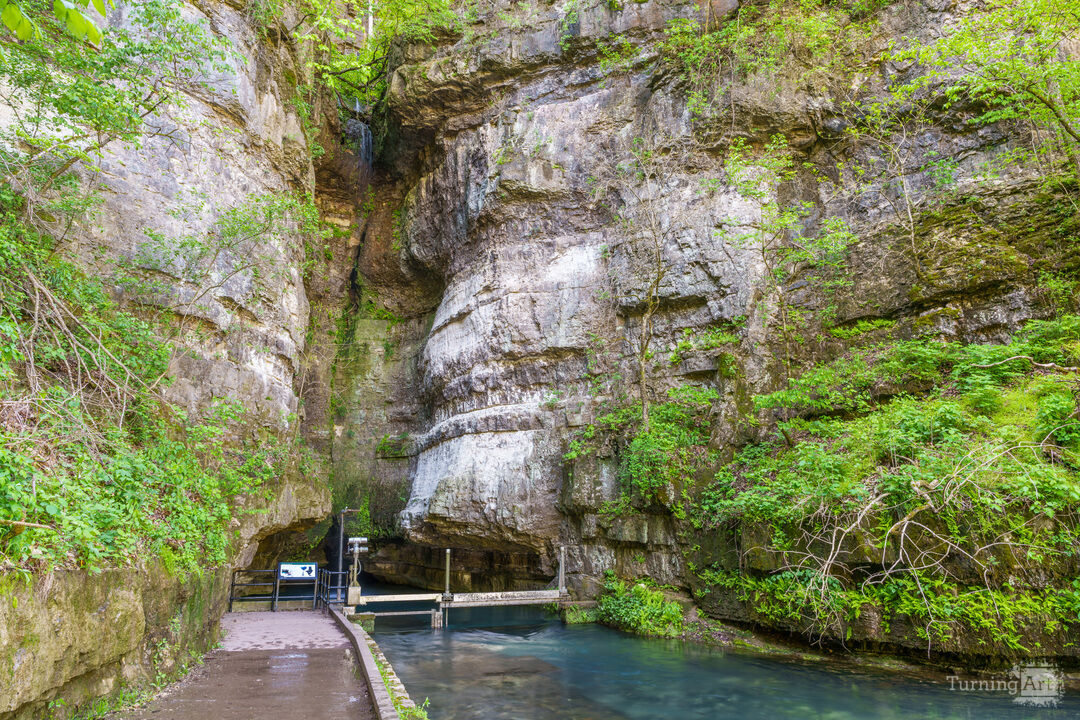 Roaring River Natural Spring Bluff