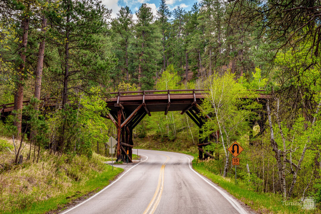 Pigtail Bridge On Iron Mountain Road