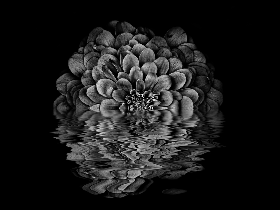 Waterworks No 8