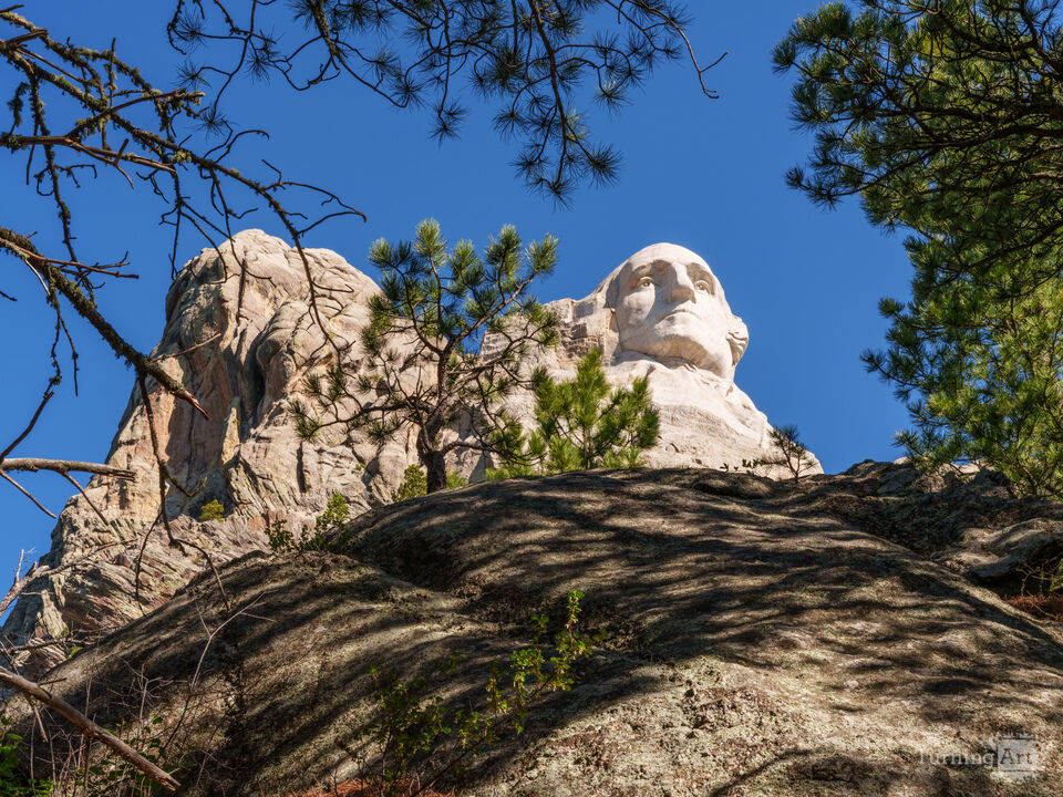 George Washington Above Granite And Pines