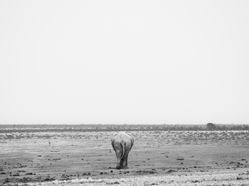Alone out there