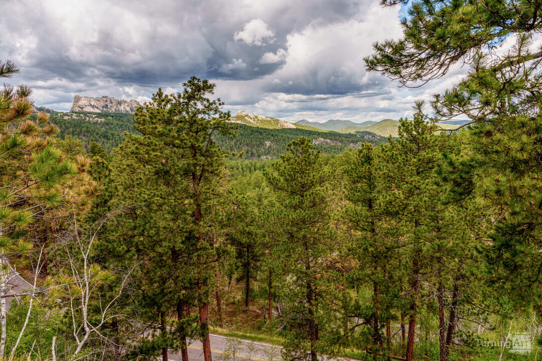 Mount Rushmore And Black Hills