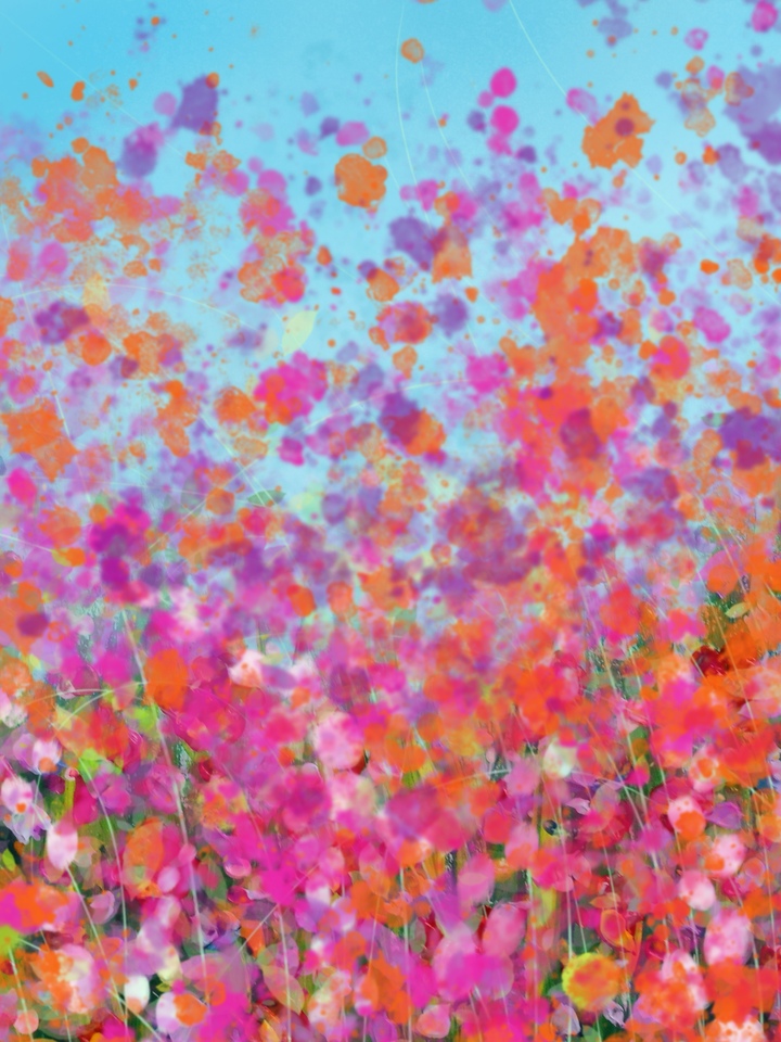 Wildflowers 