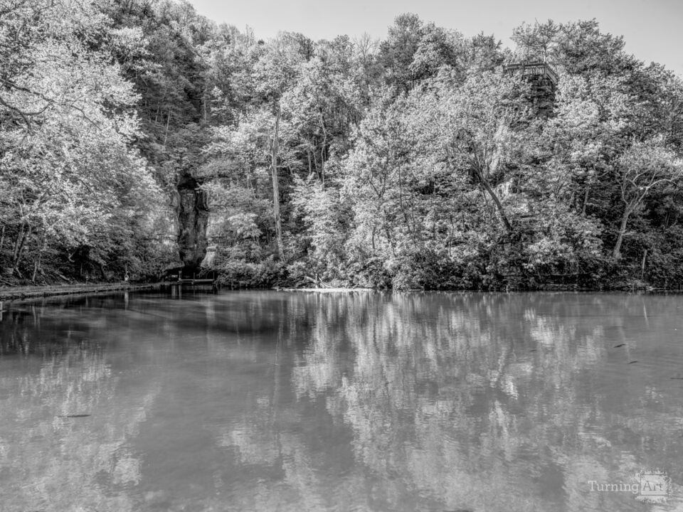 Natural Spring Peace At Roaring River Grayscale