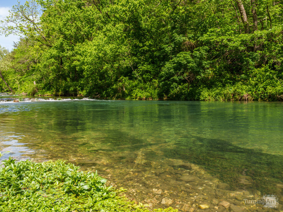 Serene Green Spring At Roaring River