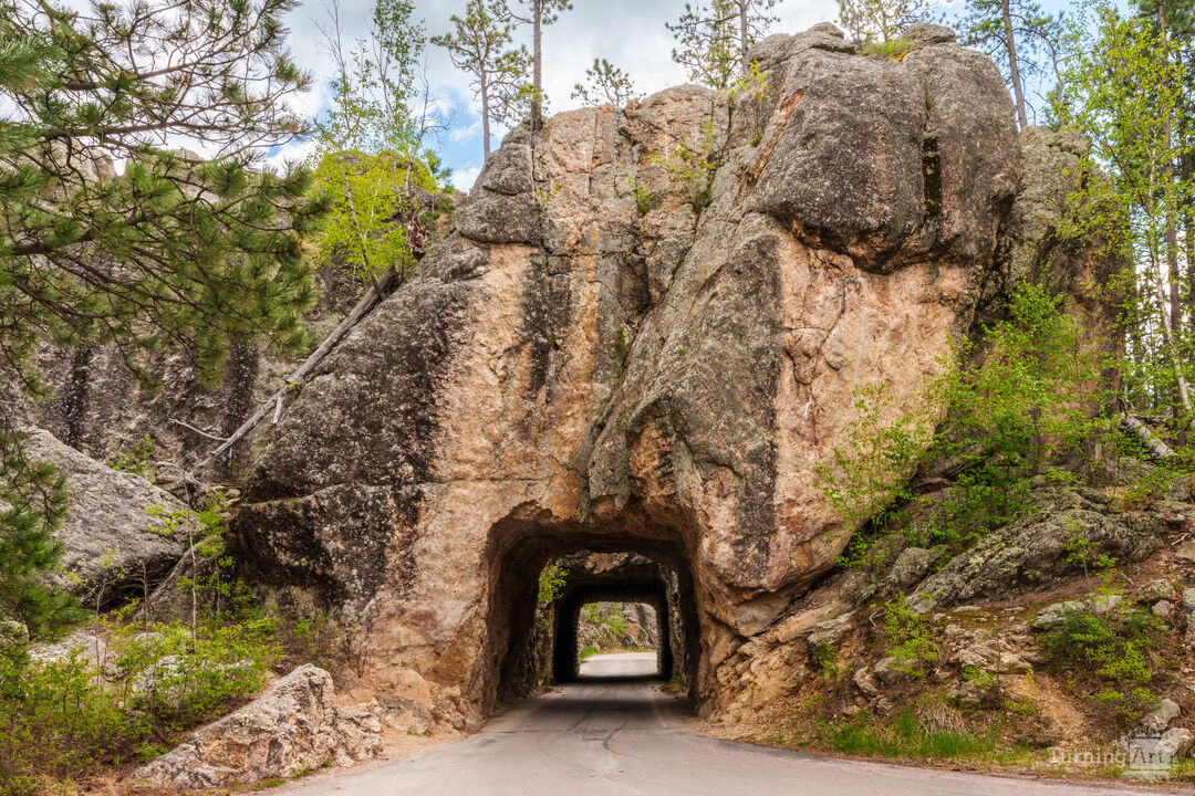 CC Gideon Tunnel Black Hills
