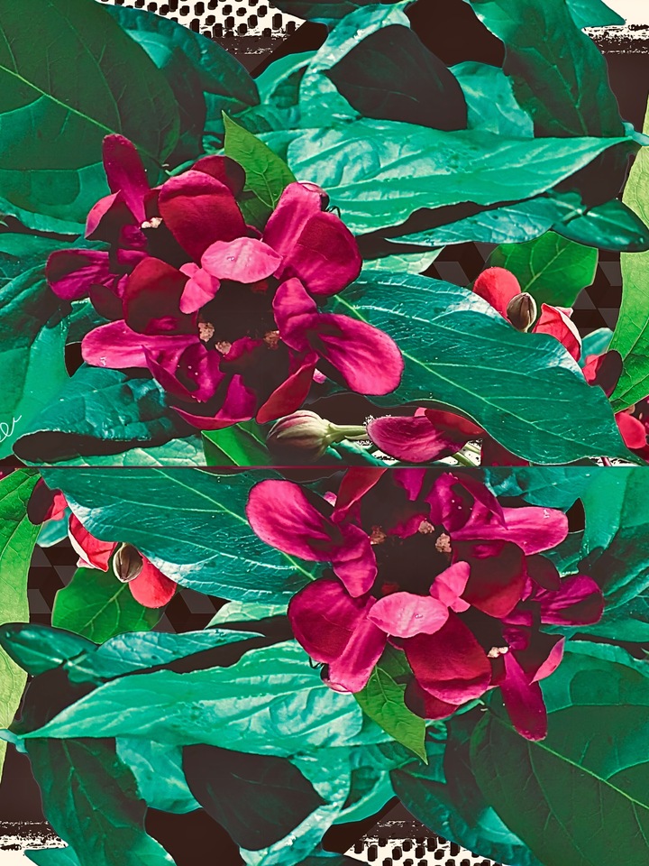 An Offering Of Splendor