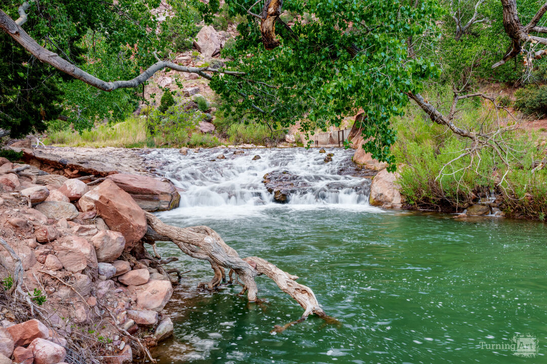 Zion Virgin River Waterfalls