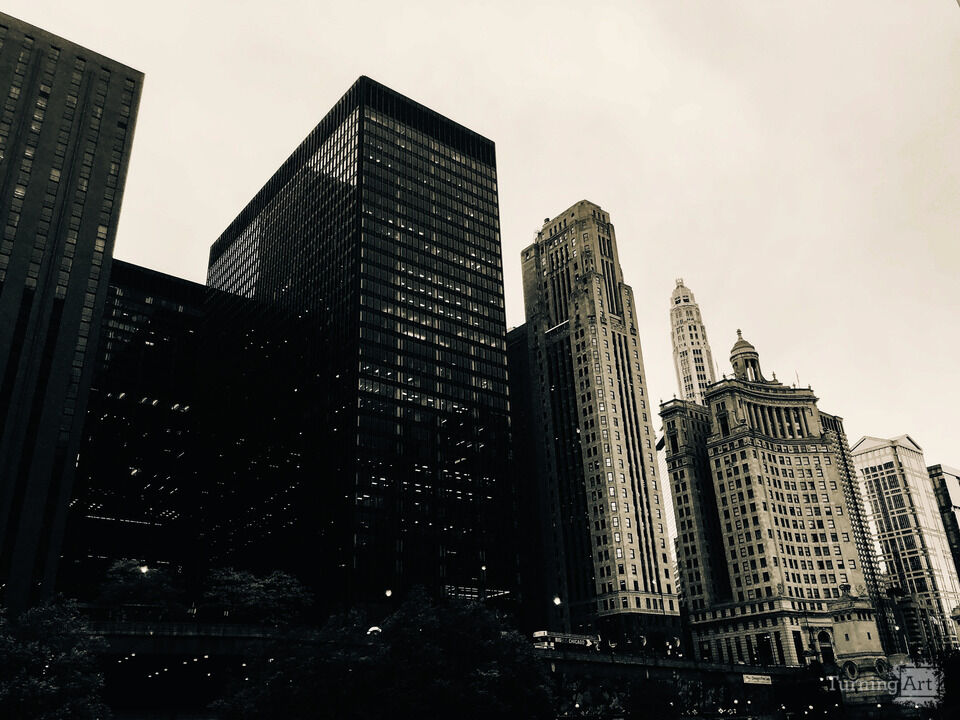 CHI Day