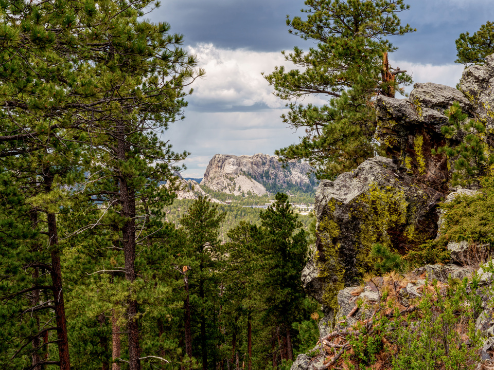 Norbeck Overlook Mount Rushmore View
