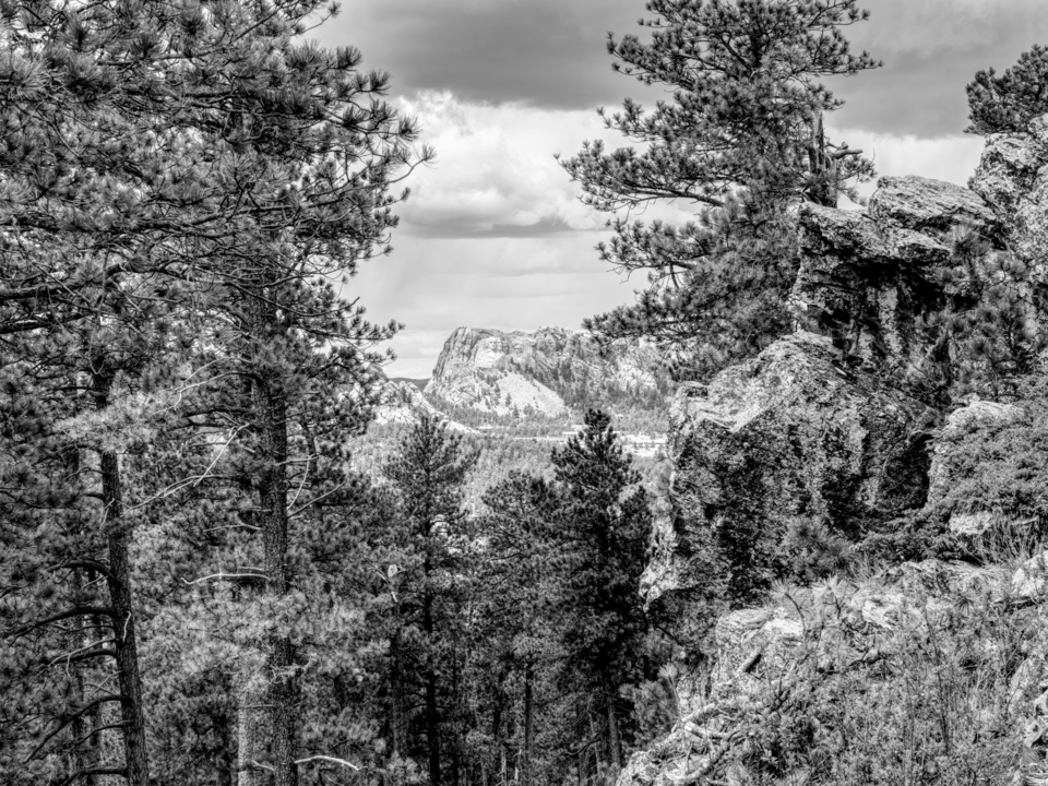 Norbeck Overlook Mount Rushmore View Grayscale
