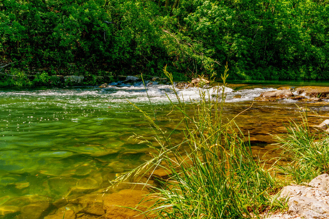 Grass By Flowing Water