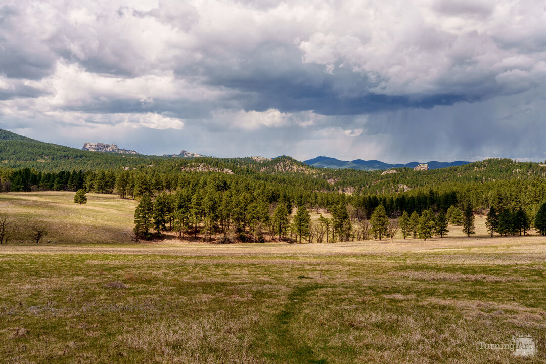 Black Hills Island In The Plains