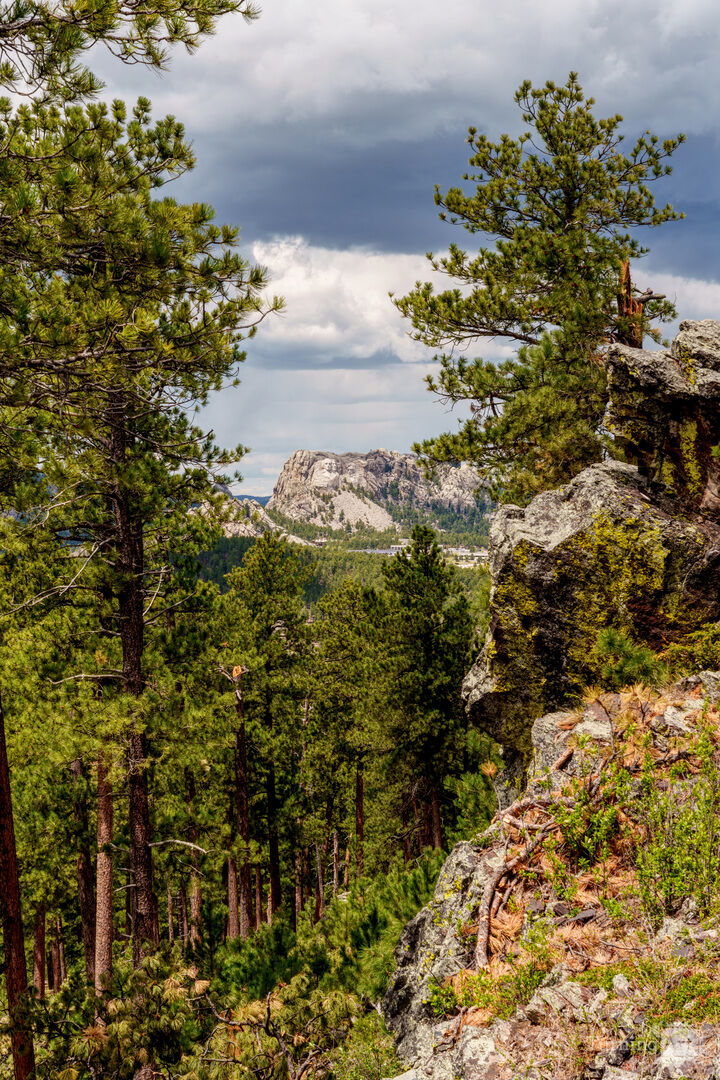 Mount Rushmore From Peter Norbeck Overlook
