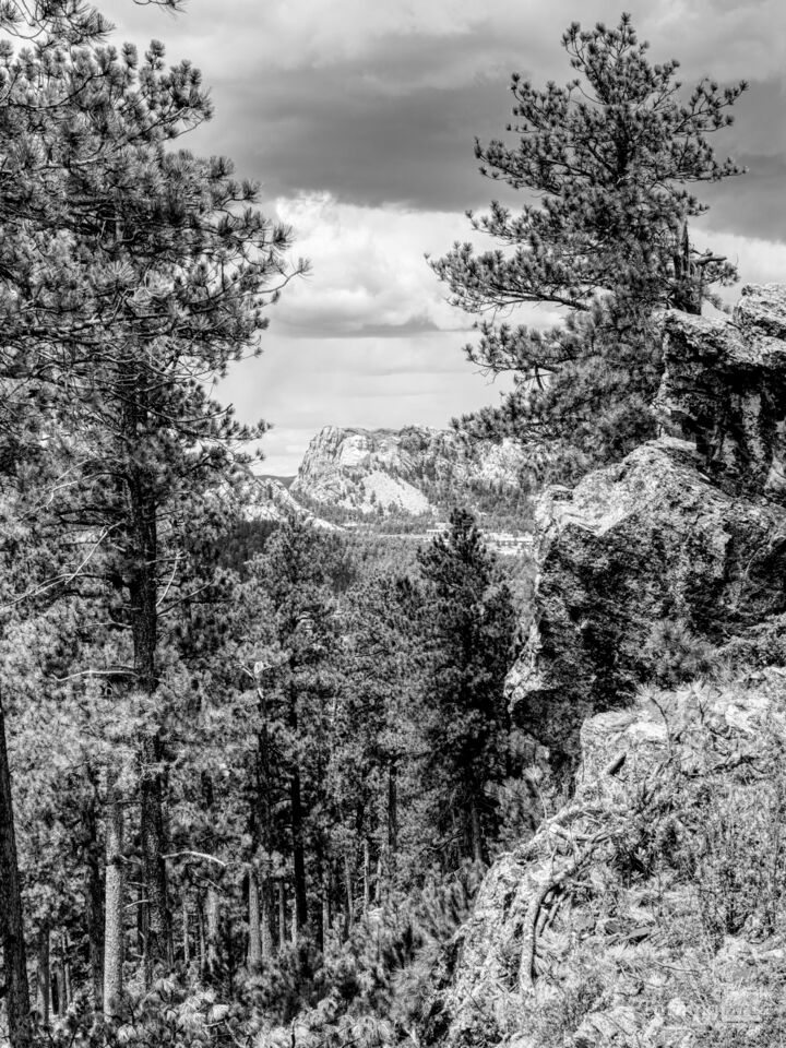 Mount Rushmore From Peter Norbeck Overlook Grayscale