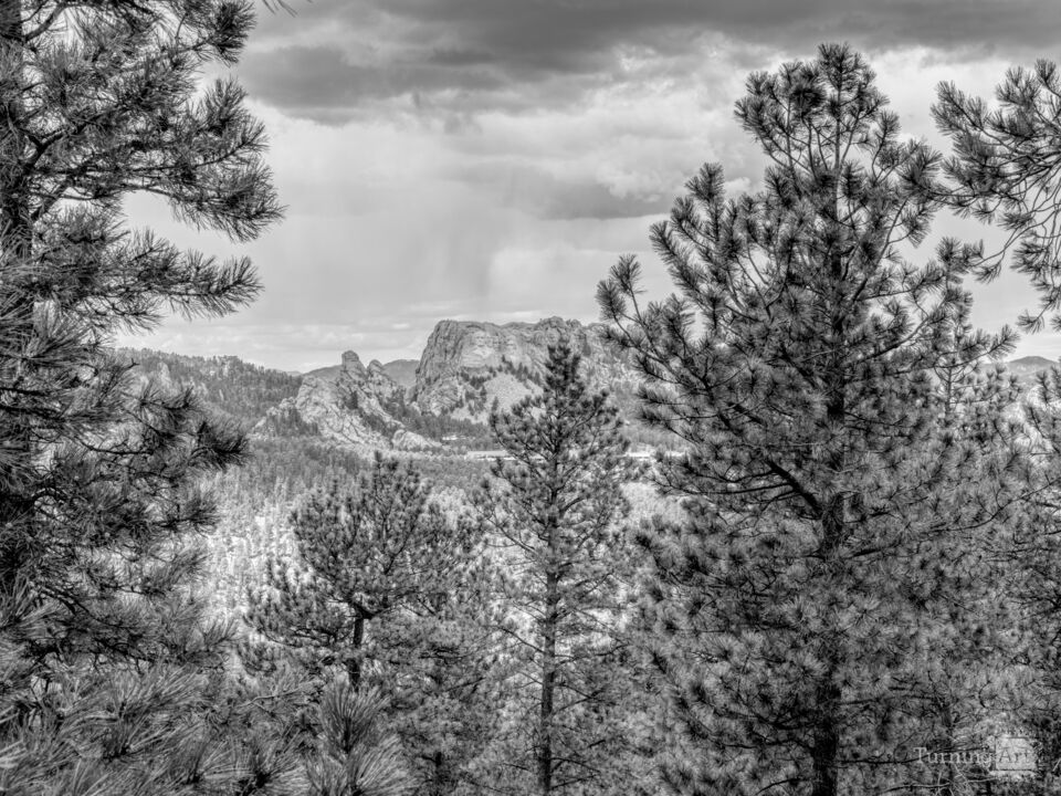 Mount Rushmore Over Black Hills Grayscale
