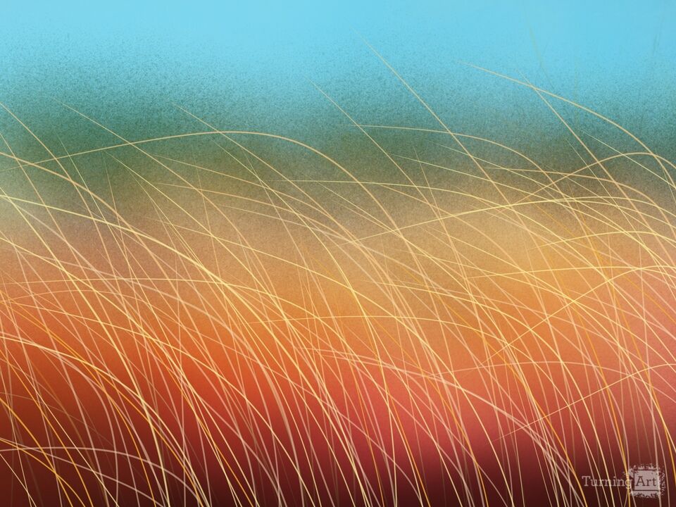 Whispers of the Summer Grass