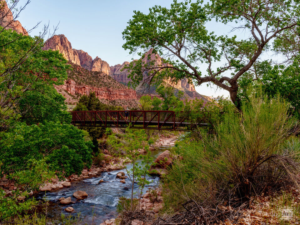 Zion Virgin River View Of Watchman