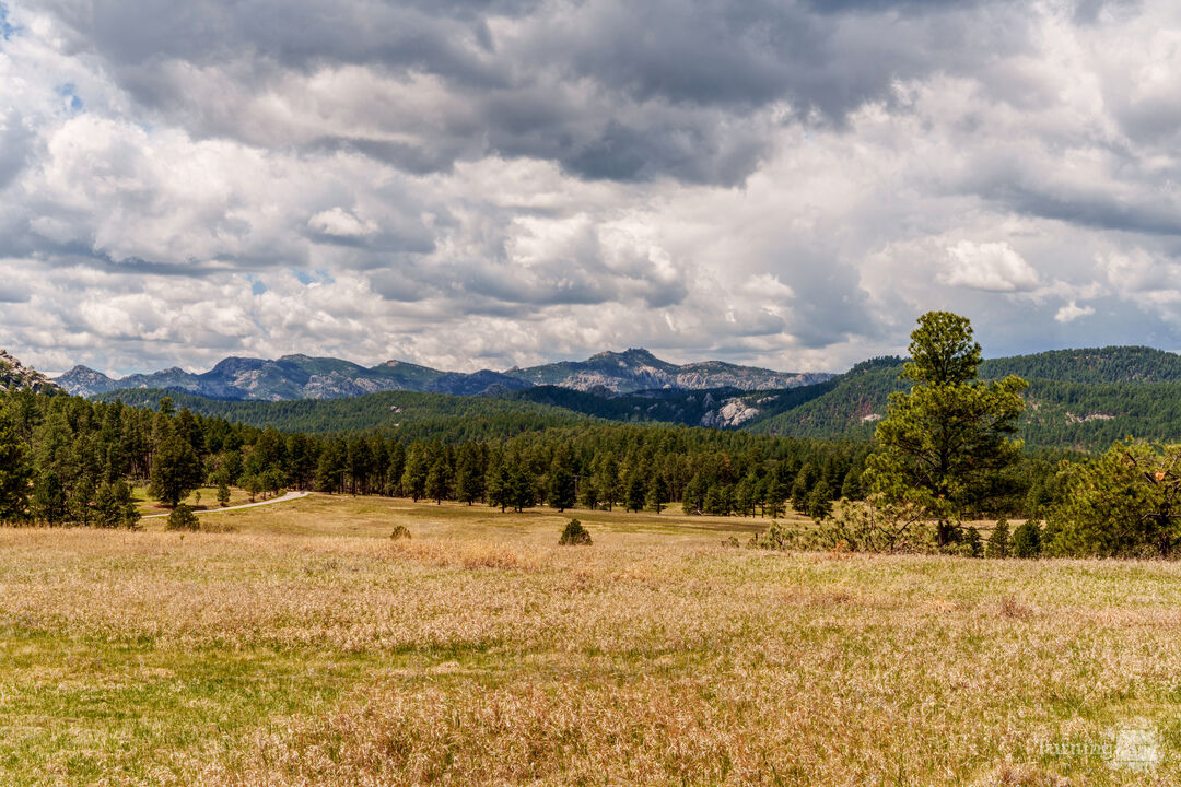South Dakota Black Hills Mountains