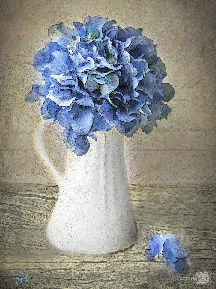 Hydrangea in vase