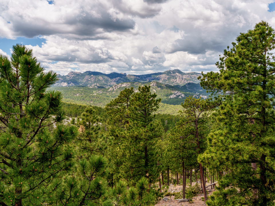 Norbeck Overlook Of Black Hills