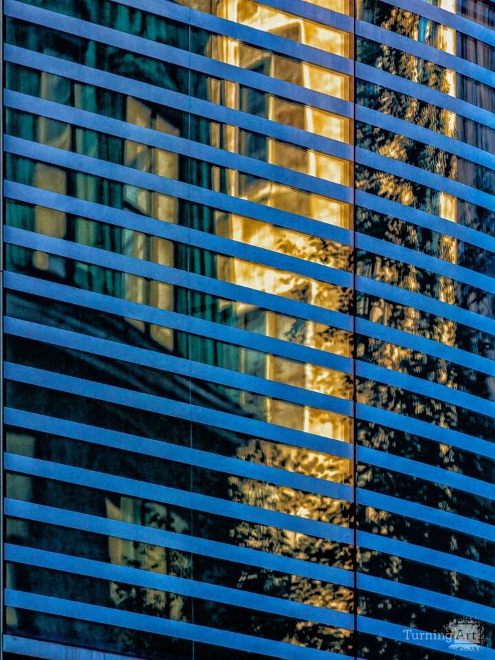 Urban Lines