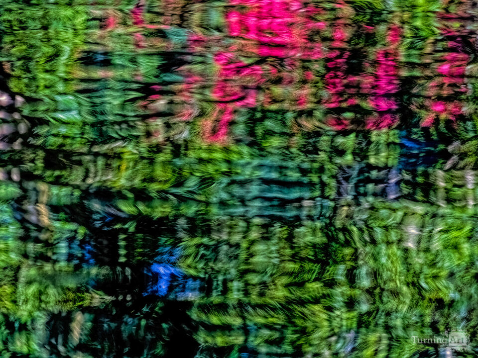 Summer Water 2