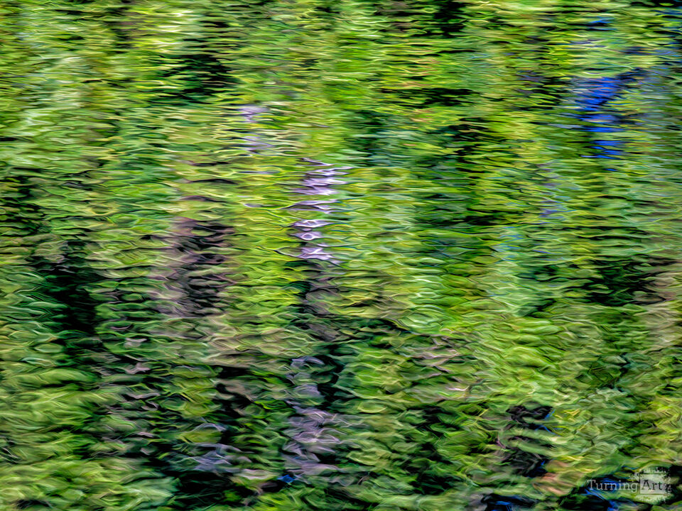 Summer Water