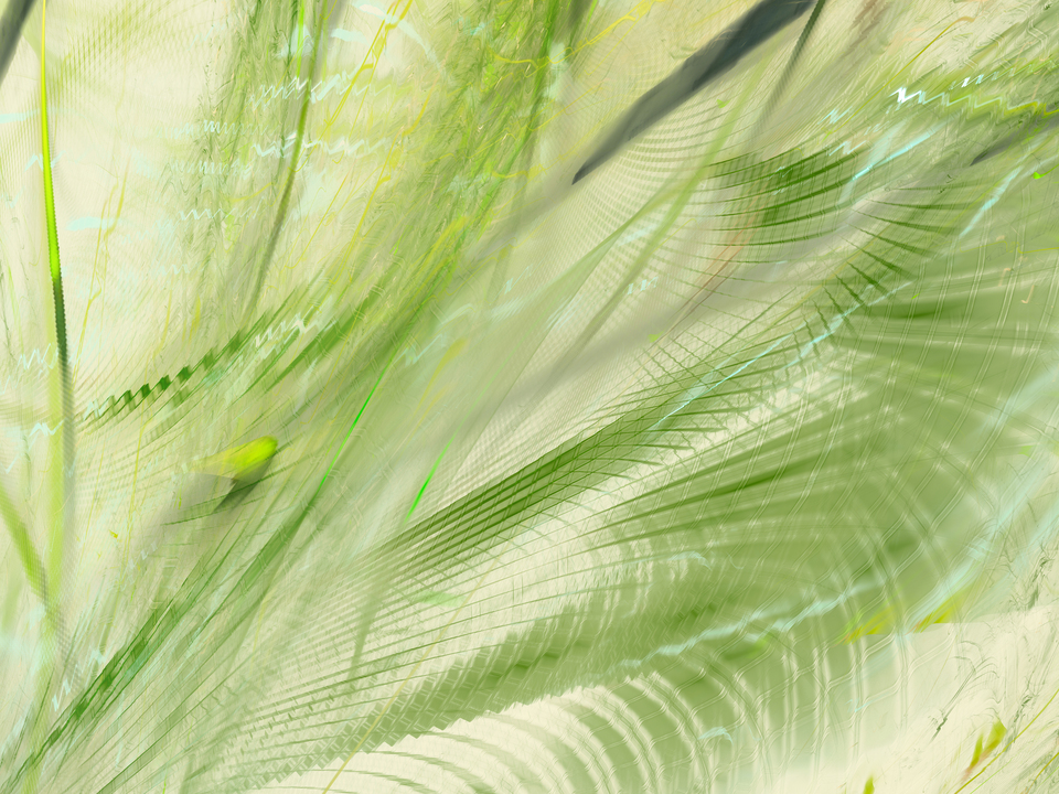 Jungle 22622F Pano