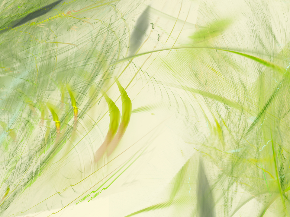 Jungle 22622A Pano