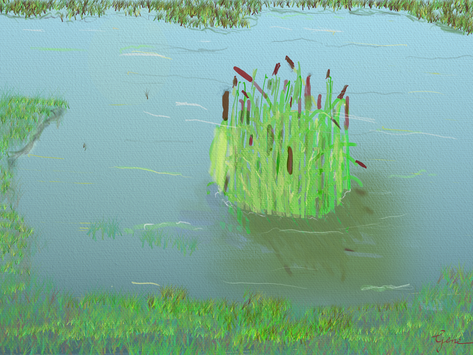 Cattails in Lake