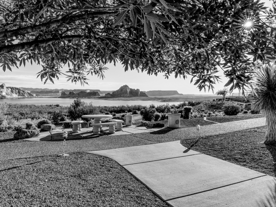 Lake Powell Desert Oasis Grayscale