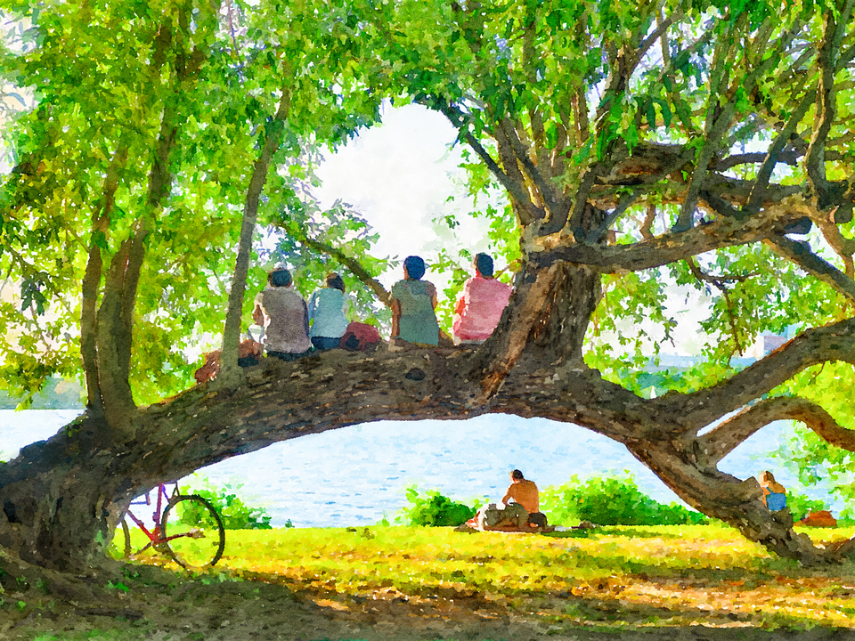Afternoon by the River
