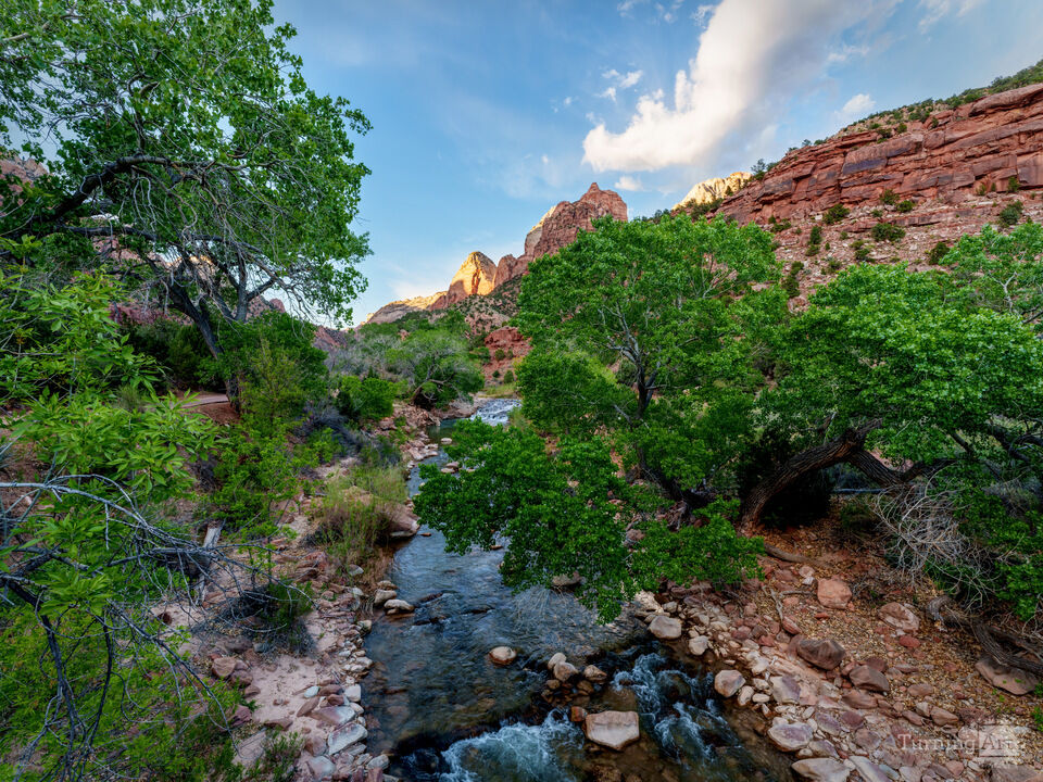 Virgin River Flows Through Zion