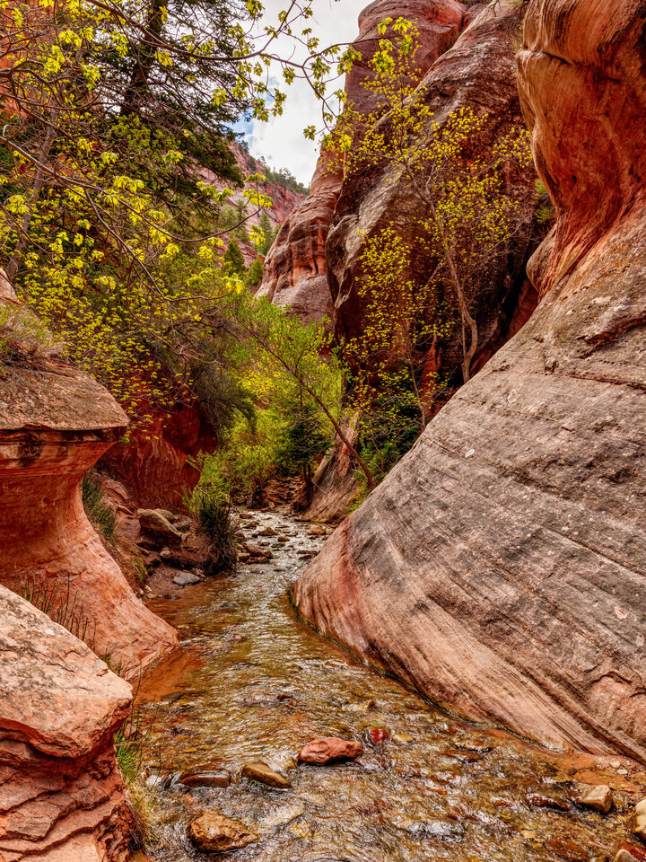 Curved Canyon Walls Of Kanarra Hike