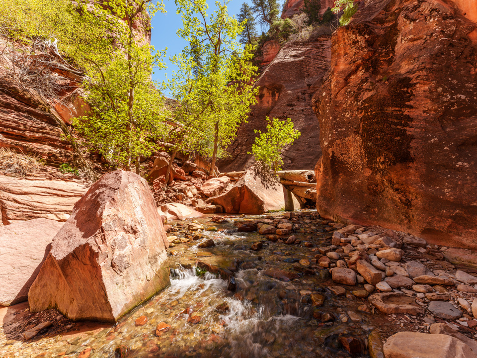 Spring Creek Rugged Wilderness Beauty
