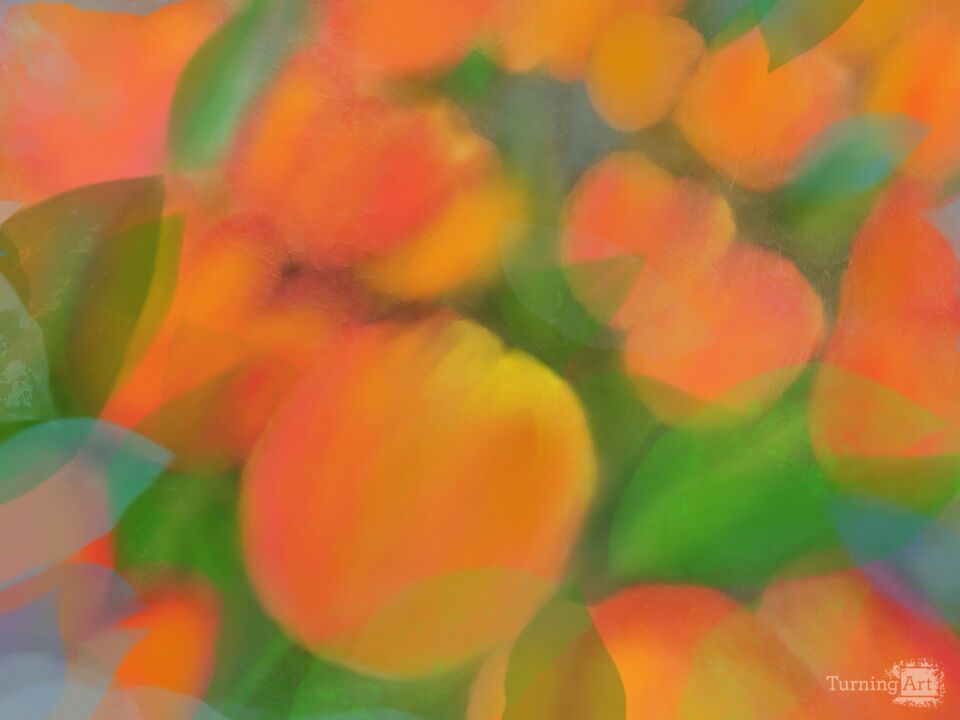 Tulips and Blue Leaves 