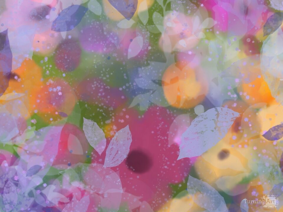 The Garden Fairytale
