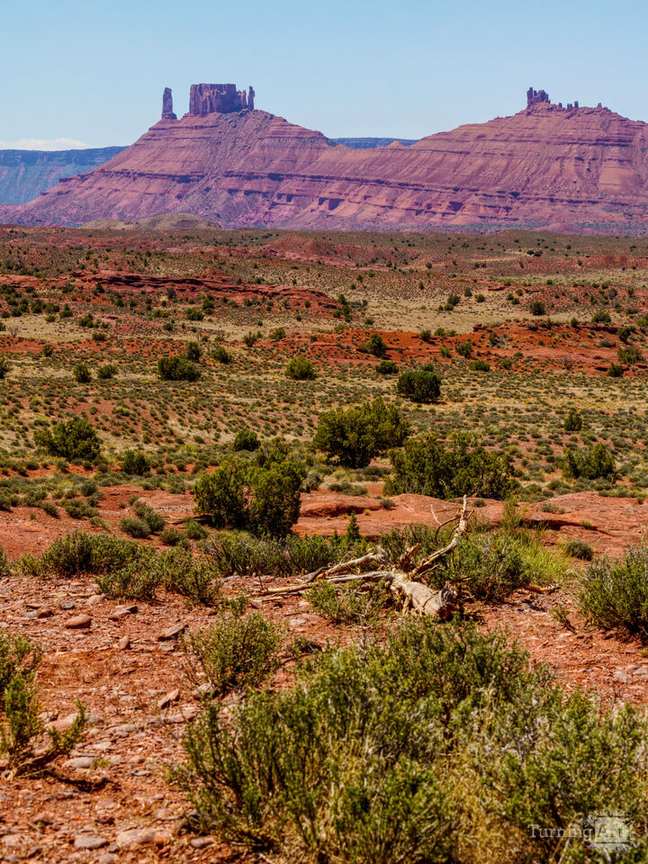 Utah Desert Wilderness