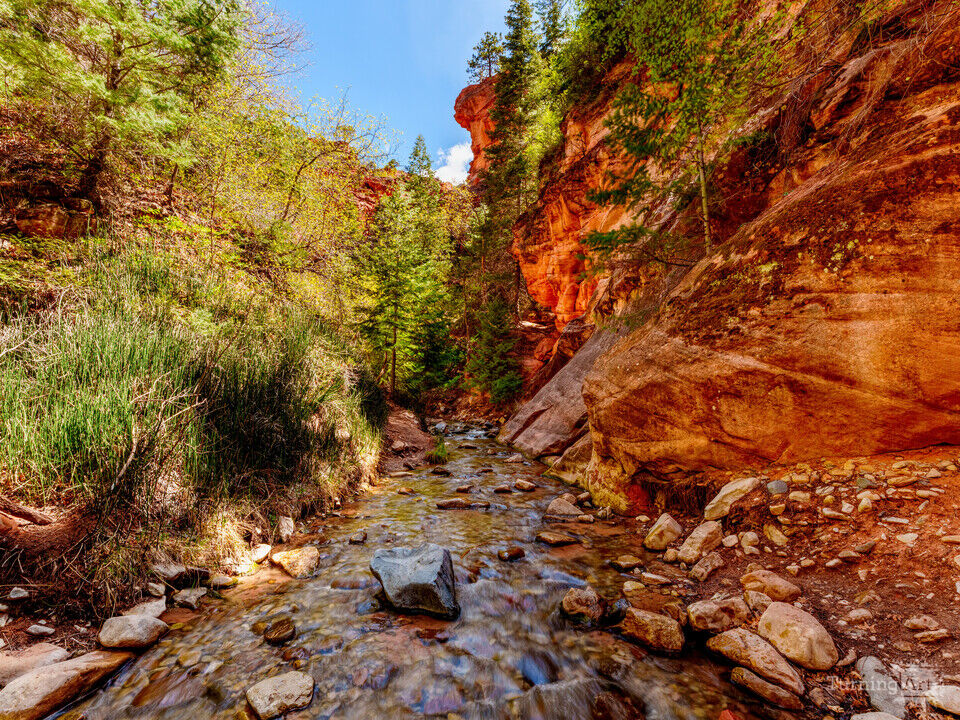 Cold Waters Through A Rugged Utah Canyon