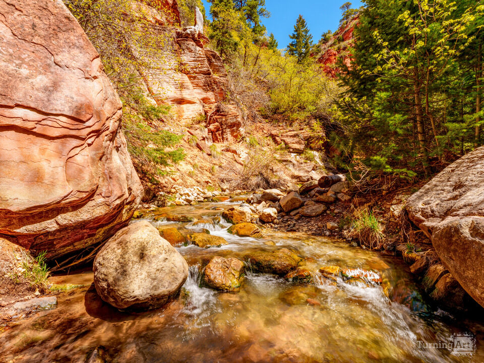 Utahs Rugged Spring Creek Canyon