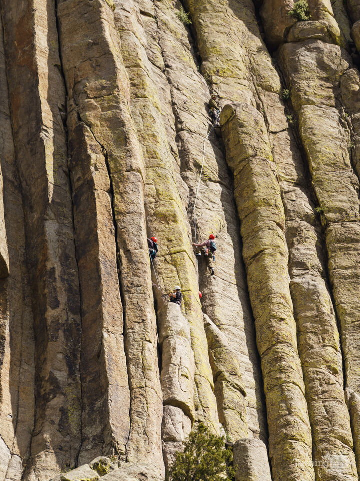 Climbing Devils Tower Vertical