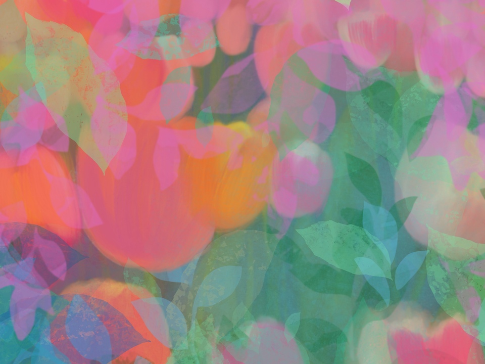 The Tulips under Leaves