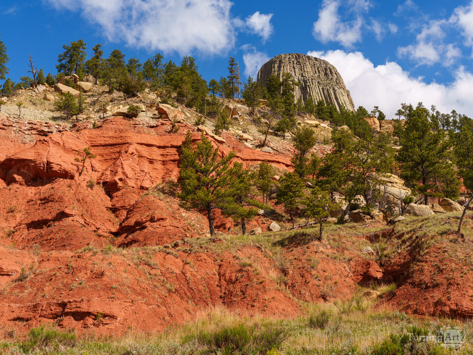 Red Cliff Below Devils Tower